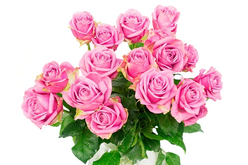 Букет из роз – всегда прекрасный подарок
